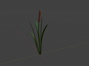 A 3D model of a cattail plant.