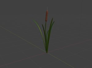 A 3D model of a cattail plant.